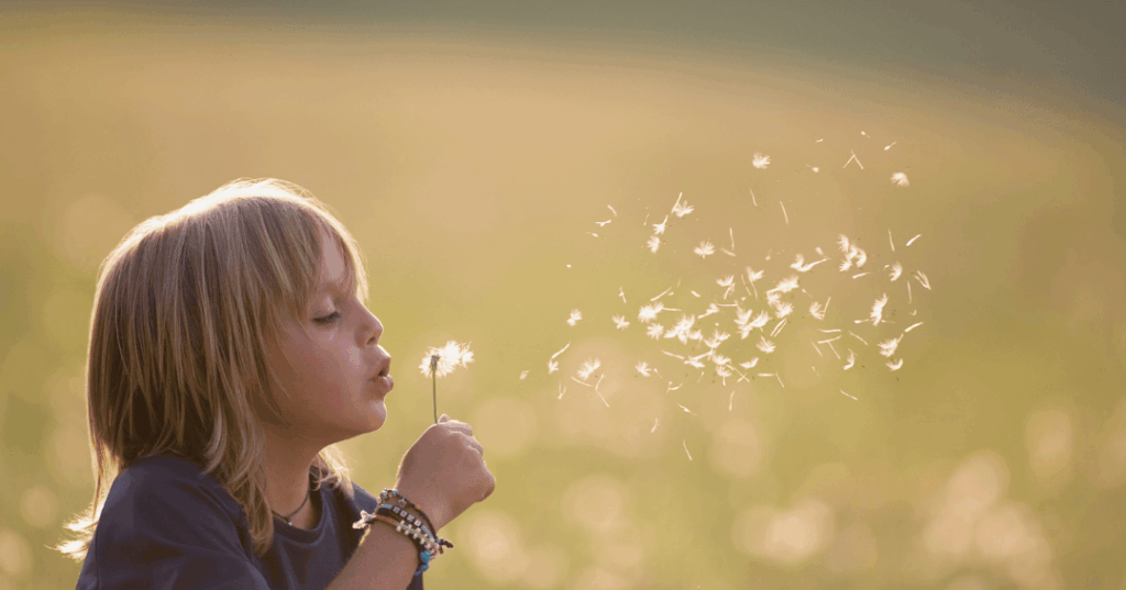 Ein Kind auf einem Feld hält eine Pusteblume und pustet